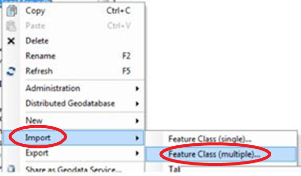 Import feature class menu option