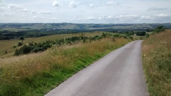 A tarmac road through the countryside flanked by a grass verge on each side with farmland in the distance.