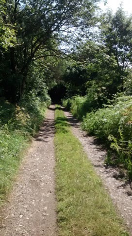 Photo of a path with vegetation on either side of it. A grass verge runs through the middle of the track.