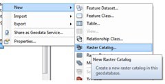 Raster catalog menu option in the New menu