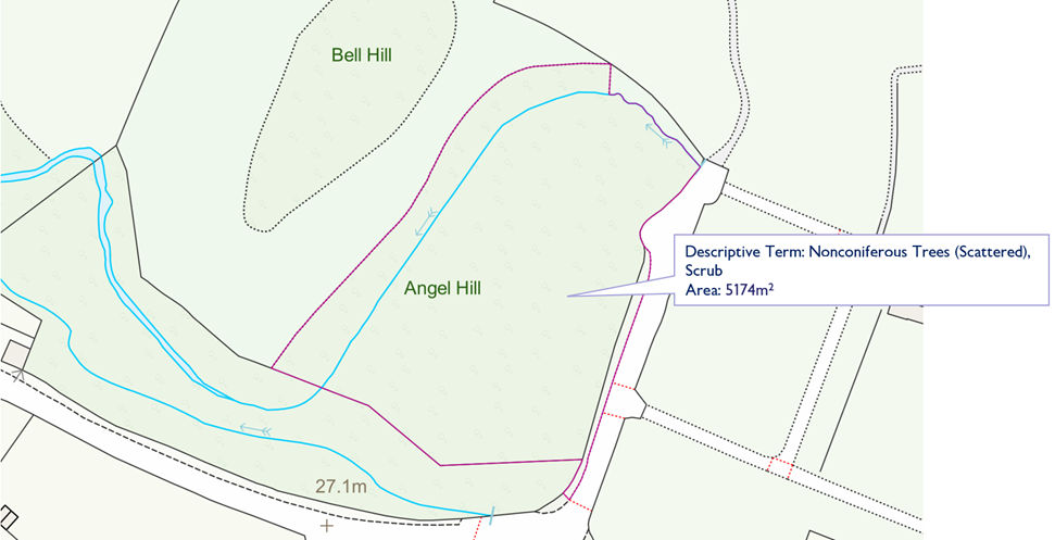 Screenshot of what the data in example 3 looked like prior to the rural land cover specification refinement update (August 2022 OS MasterMap Topography Layer data).