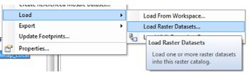 Screenshot of the load data menu showing the load raster datasets option