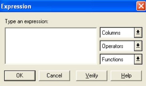 A screenshot of the Expression dialog box without details entered