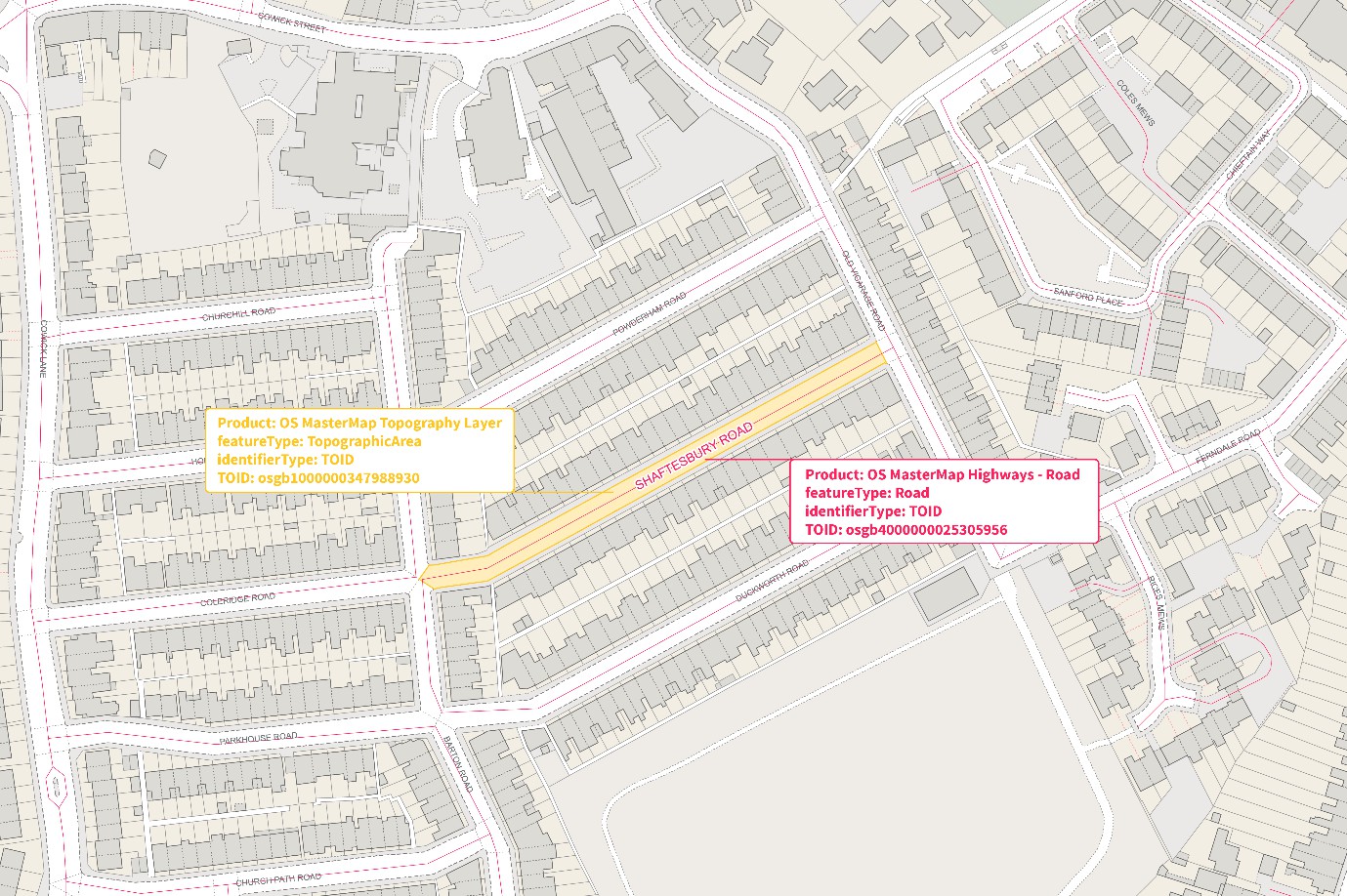 Identifiers displayed on OS Map data showing RoadLink and Topographic area feature types