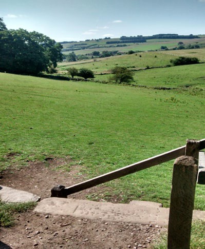 Photograph of a grass field and rolling hills below some concrete steps with a handrail, there is no visible path or disturbance of the ground through the field.