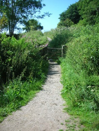 Photo showing an example of a made unsealed surface on a track.