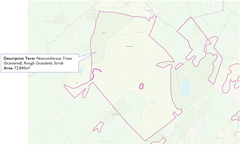Screenshot of what the data in example 2 looked like prior to the rural land cover specification refinement update (August 2022 OS MasterMap Topography Layer data).